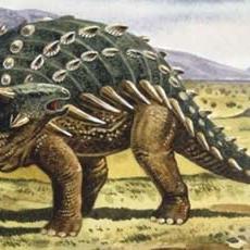 霸王捕鱼科技赋能，引领智能捕捞新动态