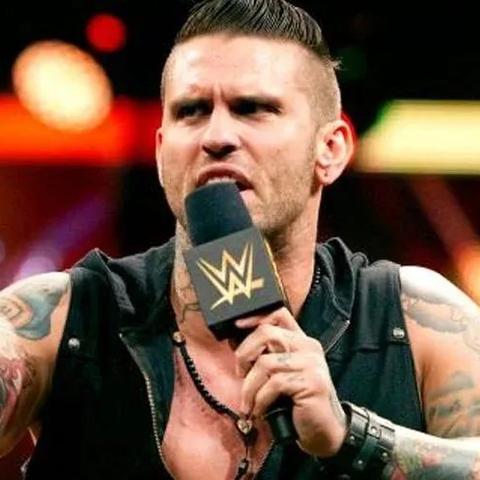 TNA摔跤赛事全面报道速递