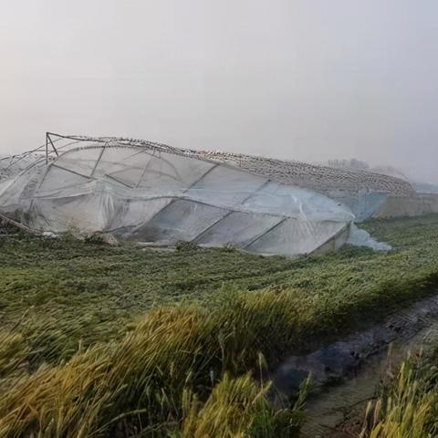 企业文化 第16页