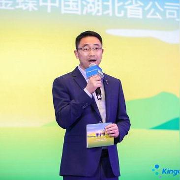 数字时代速度与变革，最新网页奇迹探索