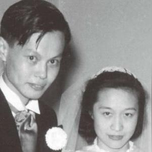 杨振宁最新动态，科学巨匠开启新征程