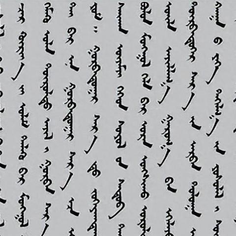 探索未来语言现象，另类词汇揭秘
